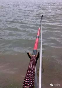 国产船竿测评视频大全集,品质与性能的深度解析