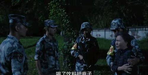 国产陆战之王视频,震撼呈现现代军事实力与英勇精神