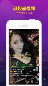 恋夜全部视频免费国产,恋夜视频带你领略视听盛宴