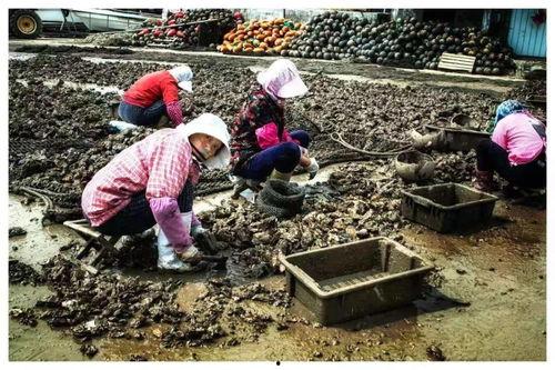 国产明人福利视频,明人风采，尽享视听盛宴