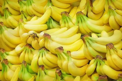 国产亚洲香蕉动漫视频
